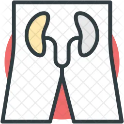 Kidneys  Icon