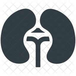 Kidneys Icon