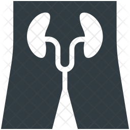 Kidneys Icon