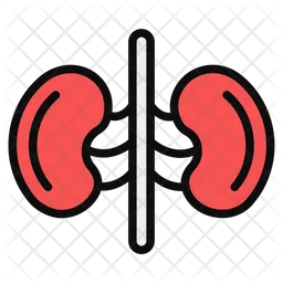 Kidneys  Icon