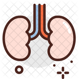 Kidneys Icon - Download in Colored Outline Style