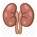 Kidneys Medical Healthcare Icon