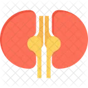 Kidneys  Icon