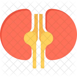 Kidneys  Icon