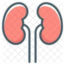 Kidneys  Icône