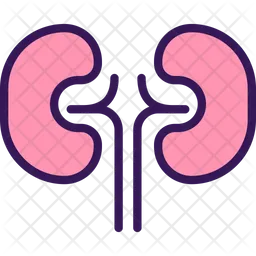 Kidneys  Icon