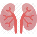 Kidneys Renal Dialysis Icon