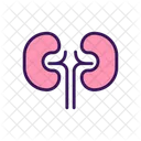 Medicine Kidney Organ Icon