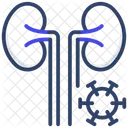 Kidneys Disease  アイコン