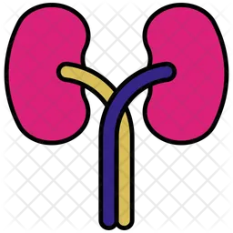 Kidneys  Icon