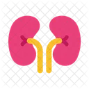 Kidneys Urology Organ Icon