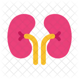 Kidneys  Icon