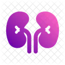 Kidneys  Icon