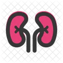 Kidneys Urology Organ Icon