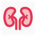 Kidneys Urology Organ Icon