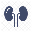 Kidneys Vital Organs Internal Organ Icon