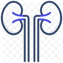 Kidneys  アイコン