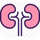 Medicine Kidney Organ アイコン
