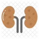 Kidneys Organ Renal アイコン