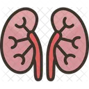 Kidneys Renal Dialysis アイコン
