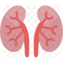 Kidneys Renal Dialysis アイコン