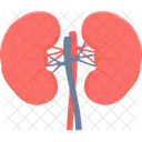 Kidneys Human Kidney Treatment アイコン