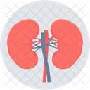 Kidneys Human Kidney Treatment アイコン