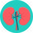 Kidneys Human Kidney Treatment アイコン