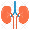 Medicine Human Person Icon