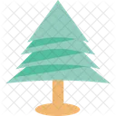 Kiefer Tanne Weihnachtsbaum Symbol