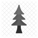 Baum Kiefer Symbol