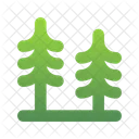 Kiefern Baum  Symbol