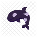 Killer Whale Orca Whale Icon