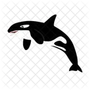 Orca Whale Killer Whale Ocean Icon