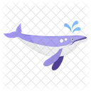 Whale Killer Whale Mammal Icon