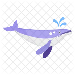 Killer Whale  Icon