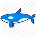 Killer Whale Icon