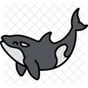 Killer Whale Fish Sea Icon