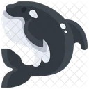 Killer Whale Sea Life Oceanic Icon