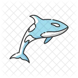 Killer Whale  Icon