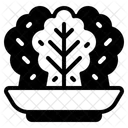 Kimchi  Icon