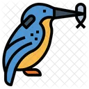 Kingfisher  Icône