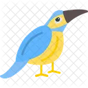Kingfisher Australia Australian Icône