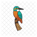 Kingfisher Animal Bird Icon