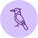 Kingfisher Alcohol Drink Icon