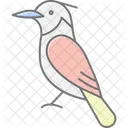 Kingfisher Bird Fishing Icon