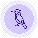 Kingfisher Bird Fishing Icon