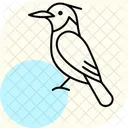 Kingfisher Bird Fishing Icon