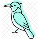 Kingfisher Bird Fishing Icon