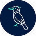 Kingfisher Bird Fishing Icon